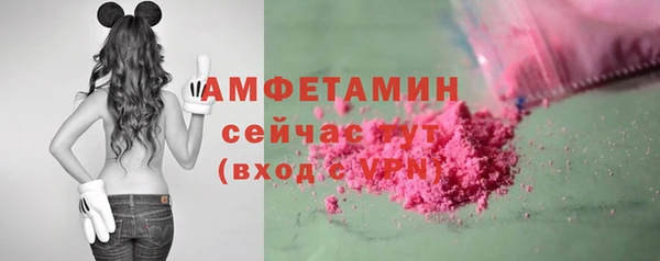 гашик Вяземский