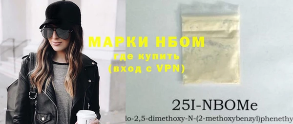 гашик Вяземский