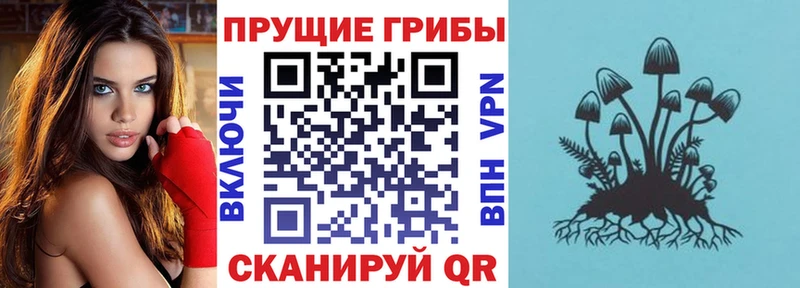 купить наркоту Данилов блэк спрут ТОР Псилоцибиновые грибы Magic Shrooms